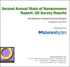 Informe sobre el estado del malware